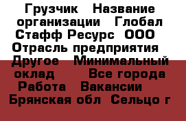 Грузчик › Название организации ­ Глобал Стафф Ресурс, ООО › Отрасль предприятия ­ Другое › Минимальный оклад ­ 1 - Все города Работа » Вакансии   . Брянская обл.,Сельцо г.